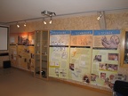 expo sciage